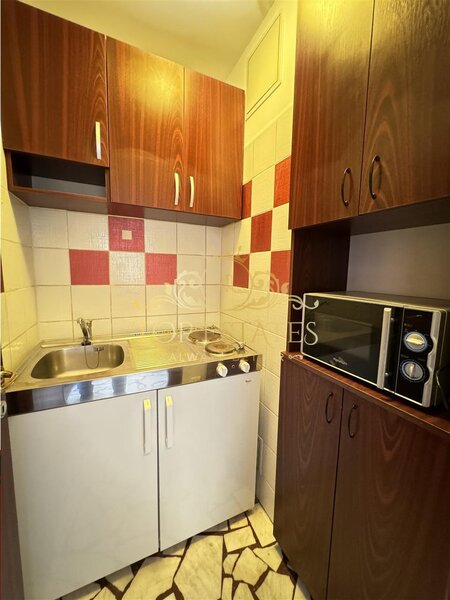 Piata Victoriei, Bucuresti, inchiriere apartament 3 camere